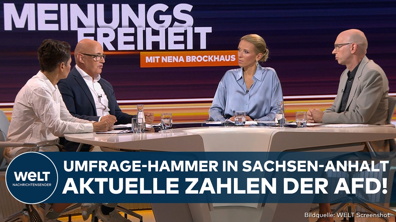 AfD Sachsen-Anhalt – Wahlplakate zur Landtagswahl in Sachsen-Anhalt, AfD und CDU im Vergleich auf einer Straße
