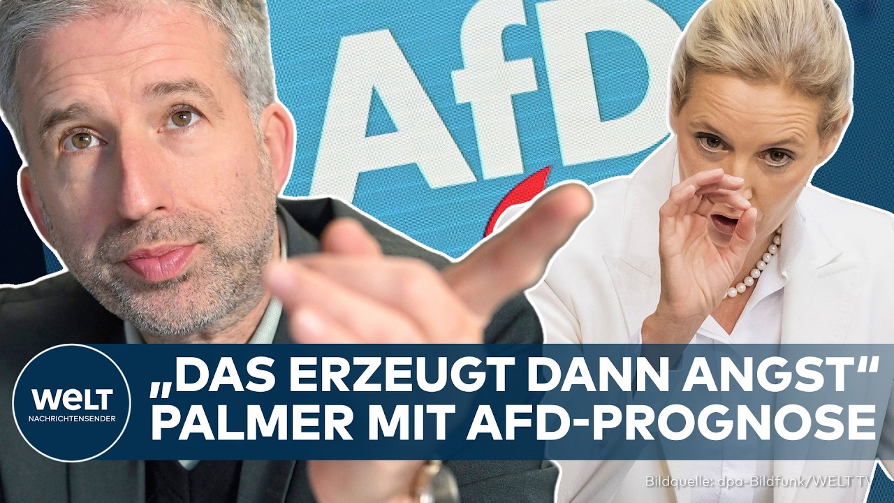 Boris Palmer im Interview zur AfD-Strategie und möglichem Parteiverbot in Deutschland