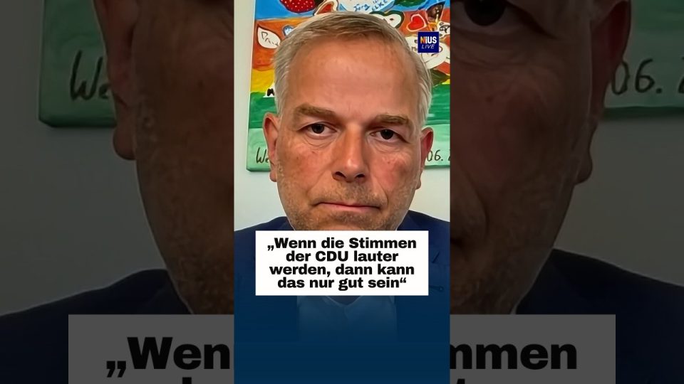AfD CDU Koalition – AfD und CDU Politiker im Gespräch – mögliche Koalition in Mecklenburg-Vorpommern