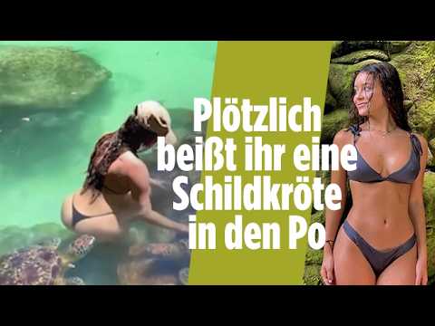 Influencerin Cynthia Benitez schwimmt mit einer Meeresschildkröte in einer Lagune in Sansibar, Tansania – Schildkröte beißt …
