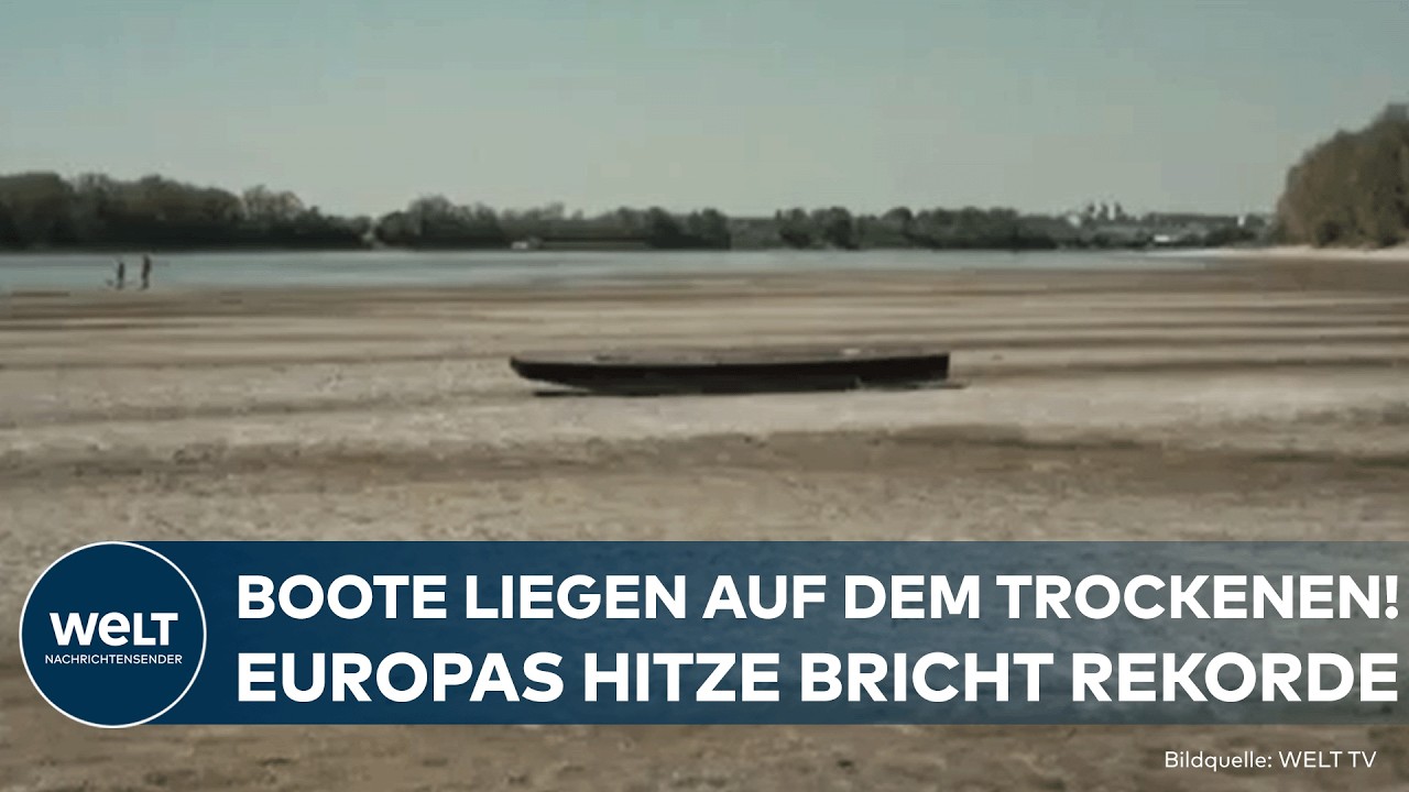 Hitze Europa – Trockengefallenes Flussbett der Donau mit Sandbänken bei extremer Hitze in Europa