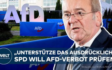 Boris Pistorius am Rednerpult, SPD-Logo im Hintergrund – AfD-Verbot als politisches Thema
