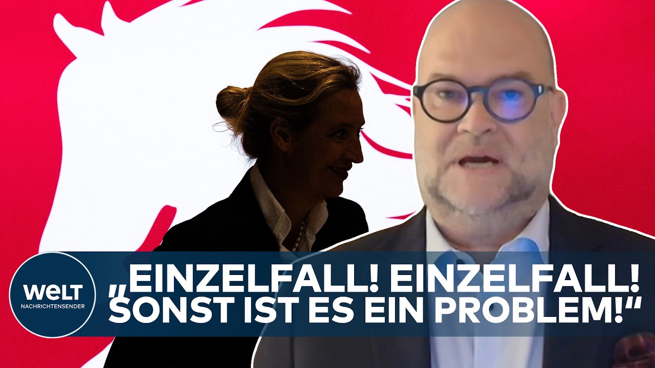 Wahlplakate zur Kommunalwahl Niedersachsen, im Vordergrund ein AfD-Wahlplakat neben SPD- und CDU-Plakaten
