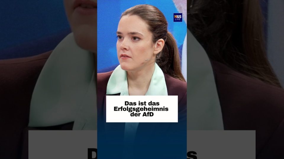 AfD-Wahlplakat mit Slogan zum politischen Wandel – Erfolgsgeheimnis der AfD bei Jungwählern