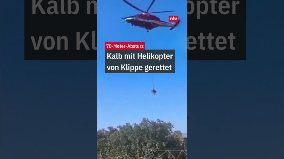 Kalb Helikopter Rettung – Rettungshelikopter bei der Kalb-Rettung an einer steilen Felsklippe in Italien