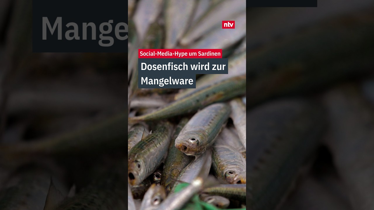 Geöffnete Sardinendose mit Olivenöl auf einem Holztisch – Sardinen als Superfood im Trend