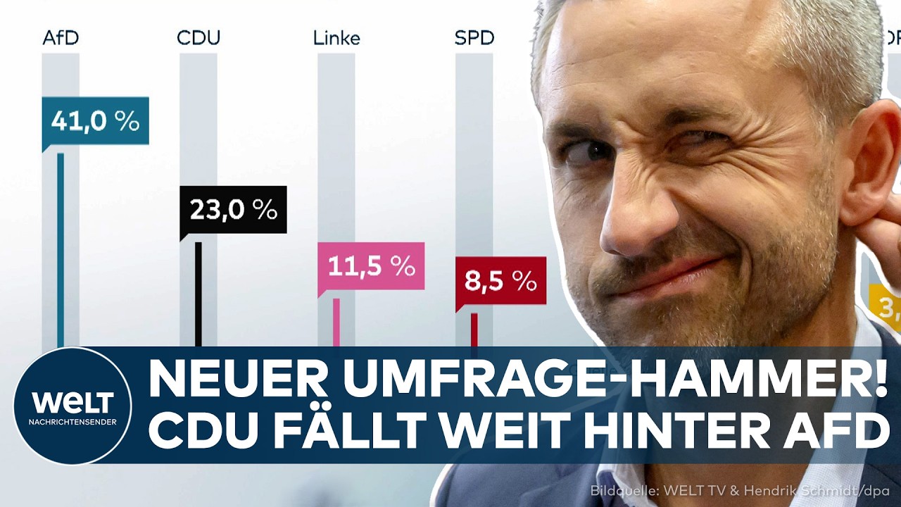 Wahlplakate zur Landtagswahl Sachsen-Anhalt mit AfD- und CDU-Werbung an einer Straße