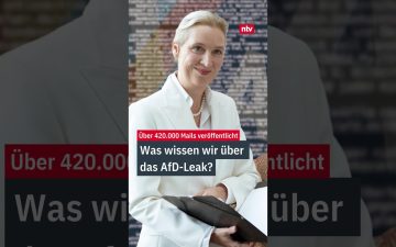 Alice Weidel bei einer AfD-Veranstaltung – AfD-Mail-Leak betrifft prominente Parteimitglieder