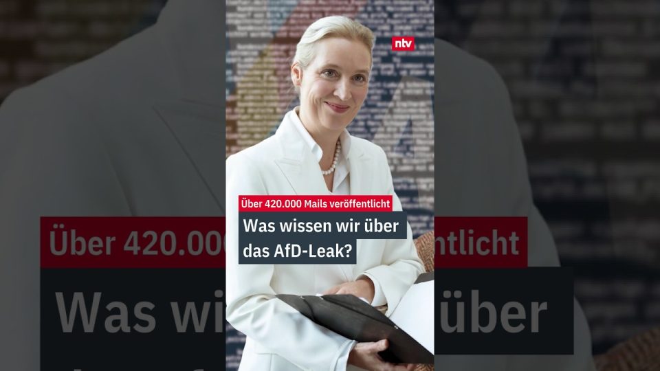 Alice Weidel bei einer AfD-Veranstaltung – AfD-Mail-Leak betrifft prominente Parteimitglieder