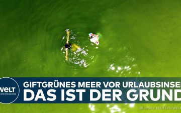 Planktonblüte Thailand – Giftgrün verfärbtes Meerwasser durch Planktonblüte vor der Ferieninsel Koh Larn in Thailand