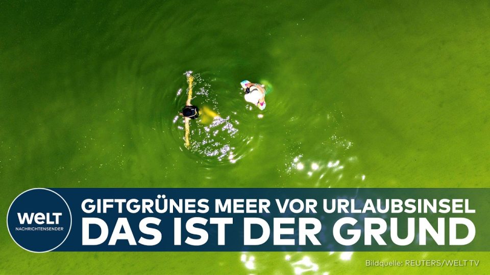 Planktonblüte Thailand – Giftgrün verfärbtes Meerwasser durch Planktonblüte vor der Ferieninsel Koh Larn in Thailand