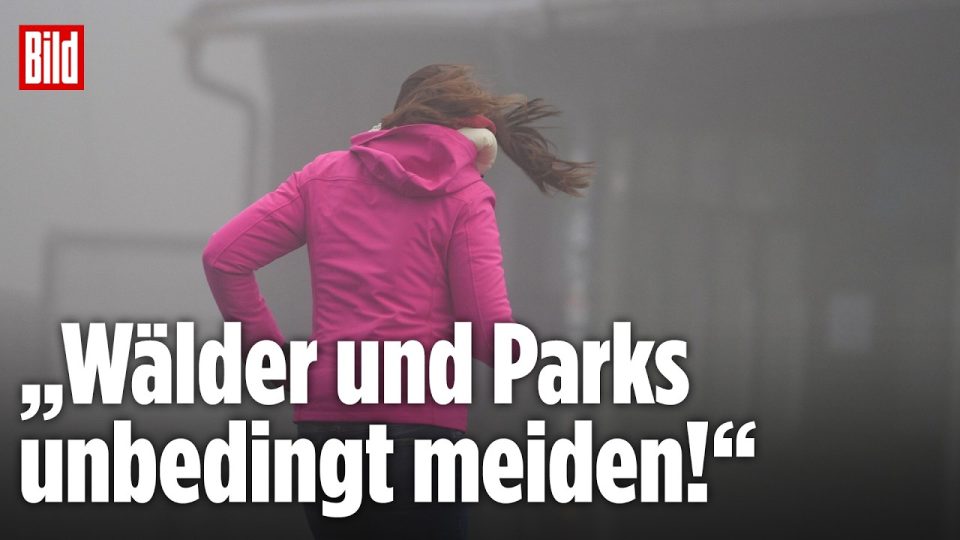 Umgestürzter Baum nach Herbststurm in einem deutschen Park – Äste blockieren einen Weg