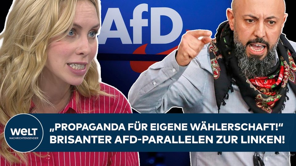 Dorothea Schupelius im Studio bei WELT TV analysiert Linkspartei Antisemitismus-Debatte
