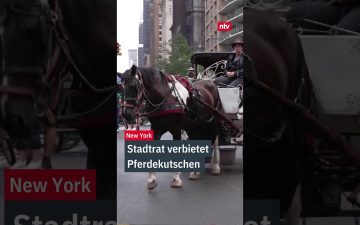 Pferdekutschen Verbot New York – Pferdekutsche im Central Park New York – Pferdekutschen Verbot soll bis 2028 umgesetzt werd…