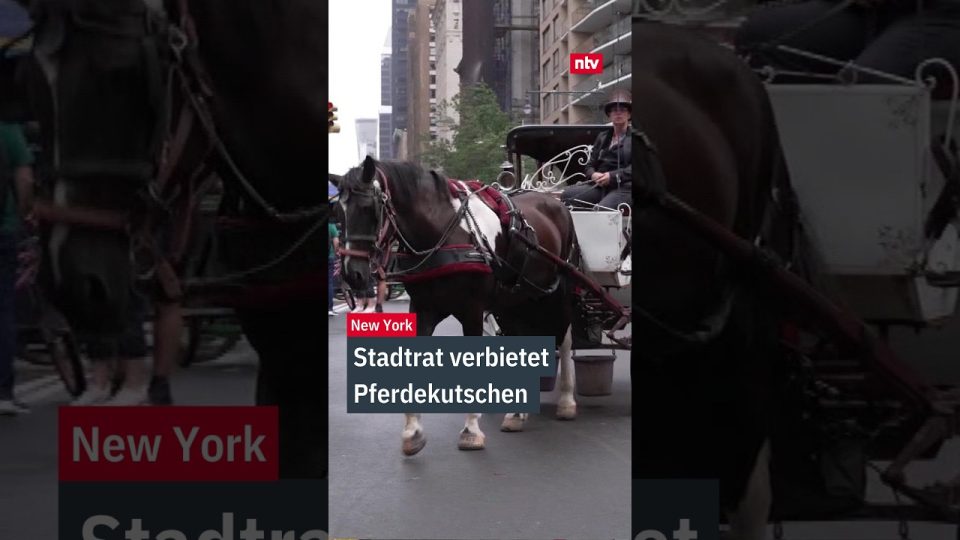 Pferdekutschen Verbot New York – Pferdekutsche im Central Park New York – Pferdekutschen Verbot soll bis 2028 umgesetzt werd…