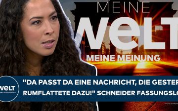 Bundespräsident Steinmeier am Rednerpult – Debatte über Vulgärdemokraten und demokratische Grundwerte in Deutschland