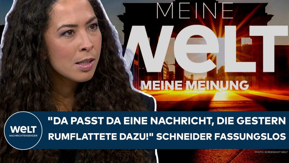 Bundespräsident Steinmeier am Rednerpult – Debatte über Vulgärdemokraten und demokratische Grundwerte in Deutschland