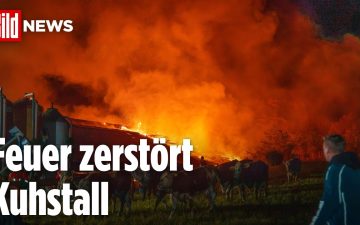 Kuhstall Brand Neumarkt – Feuerwehrleute bekämpfen den Kuhstall-Brand in Neumarkt in der Oberpfalz, meterhohe Flammen lodern…