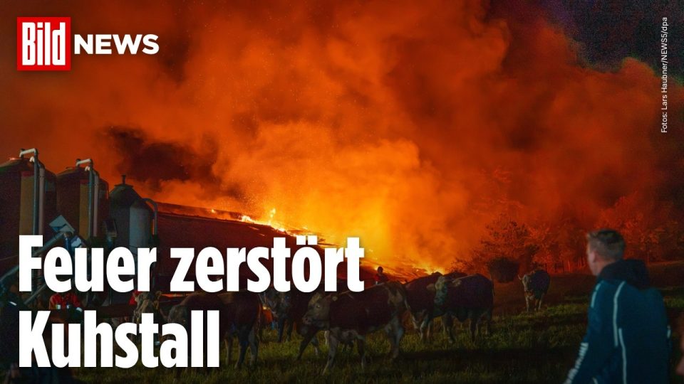 Kuhstall Brand Neumarkt – Feuerwehrleute bekämpfen den Kuhstall-Brand in Neumarkt in der Oberpfalz, meterhohe Flammen lodern…