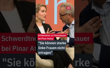 Diskussionsrunde bei ntv zur Linkspartei Hamas-Debatte mit Schwerdtner und Fleischhauer