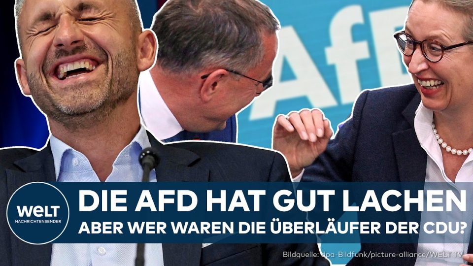 AfD-Politiker im Landtag von Sachsen-Anhalt nach der Wahl des Landtagspräsidiums durch AfD Sachsen-Anhalt