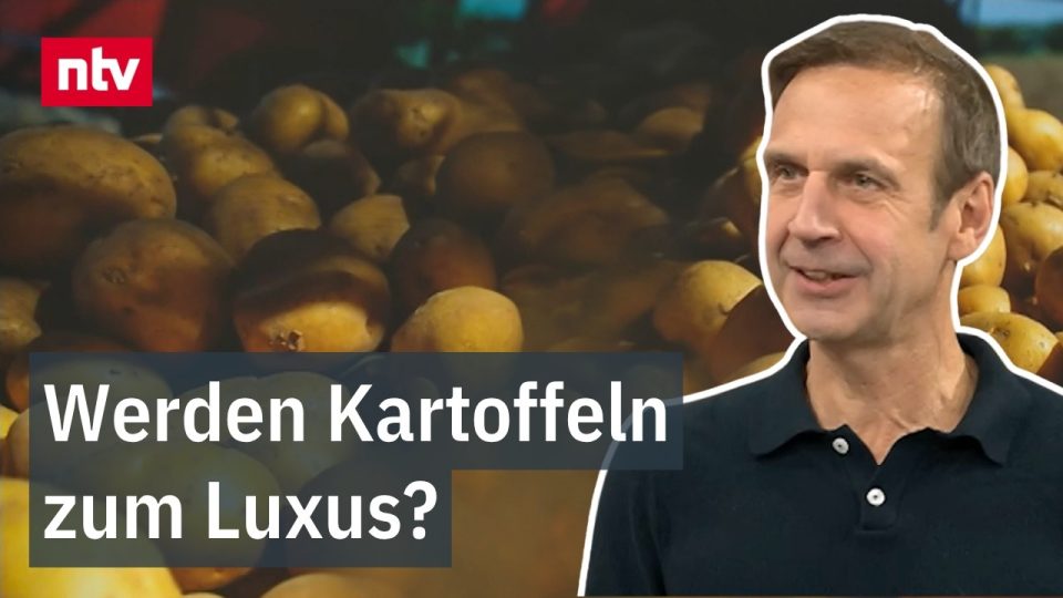 Kartoffeln in einer Holzkiste auf einem Marktstand – Kartoffelpreise steigen 2026 deutlich an