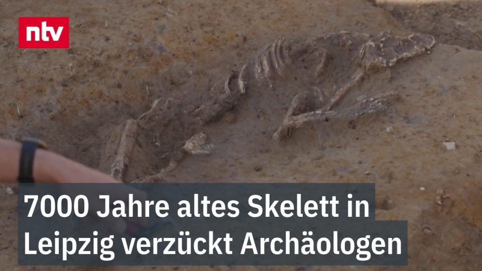 Jungsteinzeit-Siedlung Leipzig – Archäologen legen das Skelett einer jungsteinzeitlichen Bestattung in Leipzig-Möckern frei …
