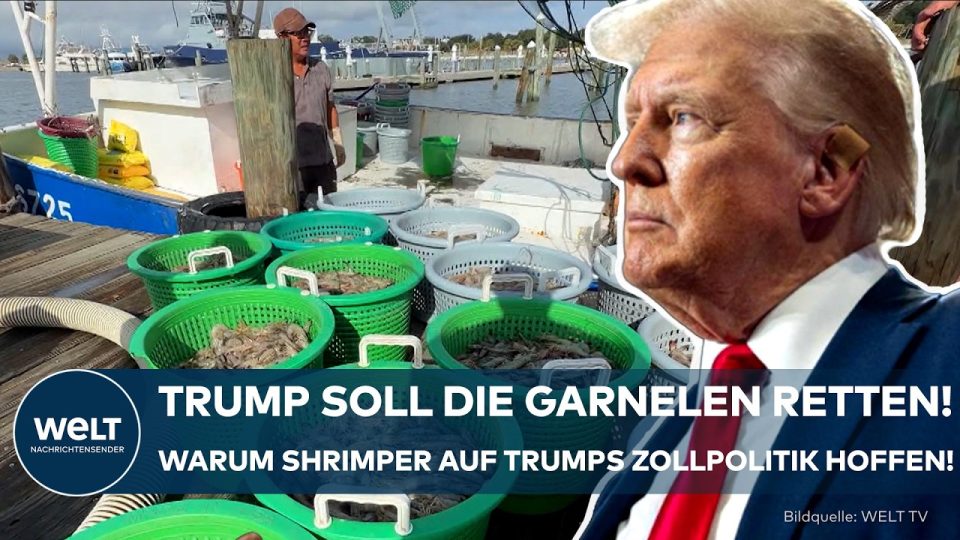 Zollpolitik Schrimper – Garnelenfischer auf einem Kutter an der Golfküste von Mississippi – Zollpolitik als Hoffnung gegen B…