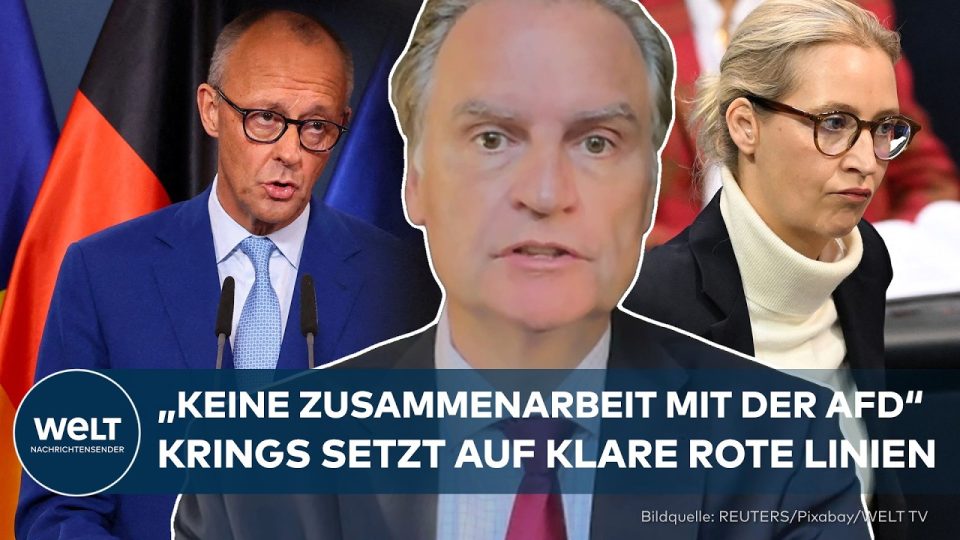 rote Linien AfD – CDU-Politiker Günter Krings erklärt rote Linien zur AfD in einem TV-Interview