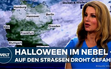 Dichter Herbstnebel auf einer deutschen Landstraße mit Laubblättern – typisches Halloween-Wetter in Deutschland
