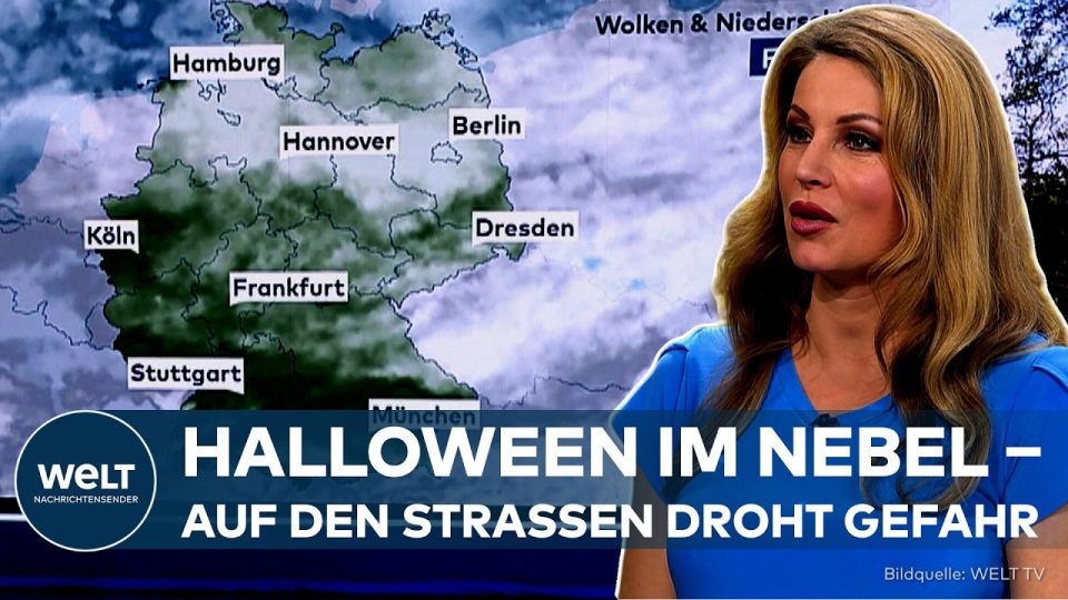 Dichter Herbstnebel auf einer deutschen Landstraße mit Laubblättern – typisches Halloween-Wetter in Deutschland