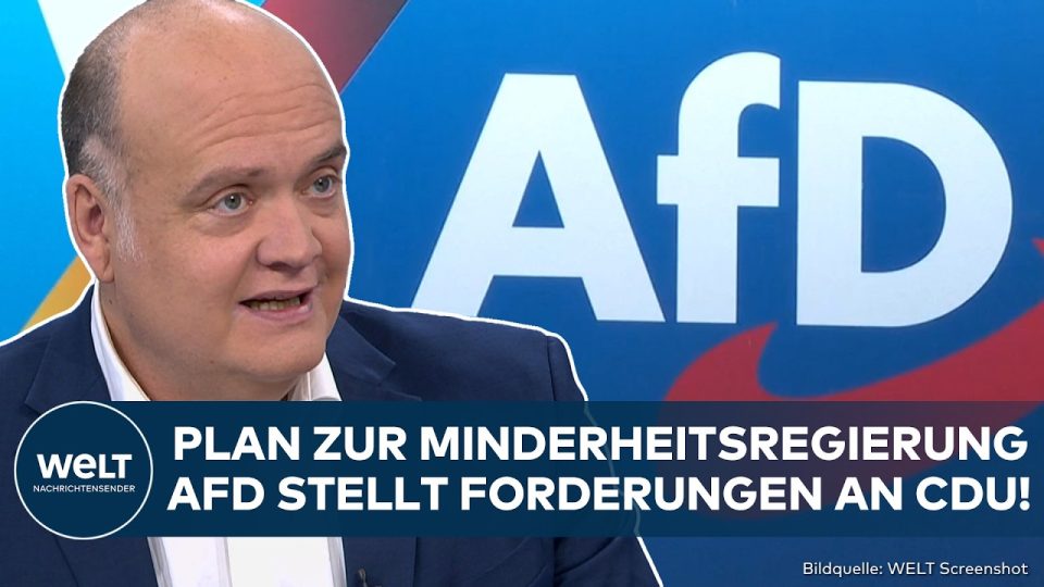 Robin Alexander analysiert das neue AfD-Strategiepapier zur Minderheitsregierung im Studio