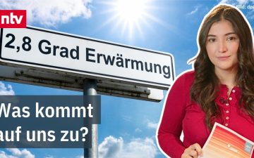 Klimawandel Deutschland – Ausgetrockneter Waldboden in Deutschland als Folge des Klimawandels und anhaltender Hitze