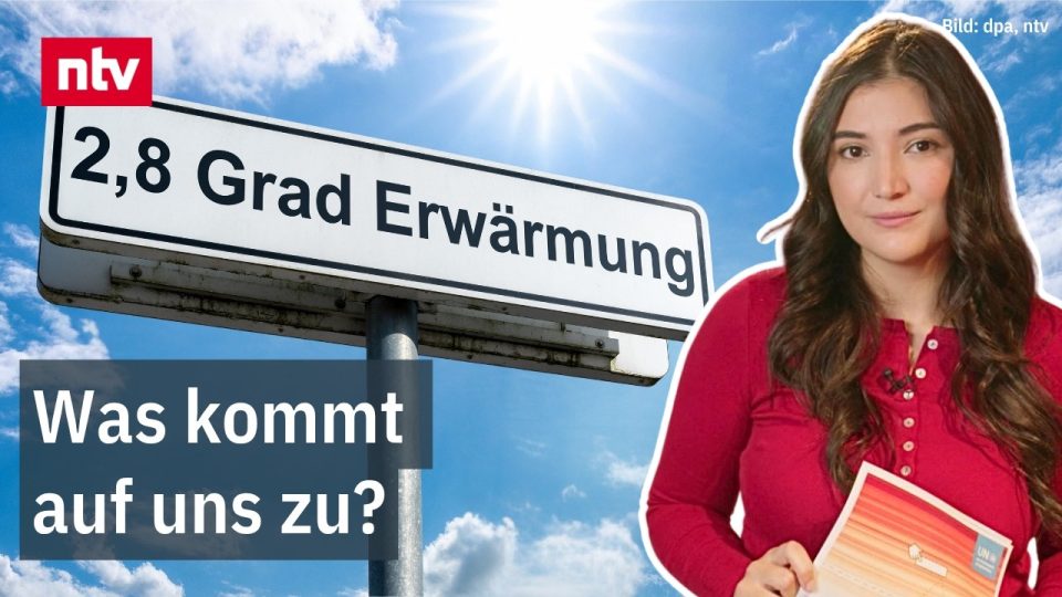 Klimawandel Deutschland – Ausgetrockneter Waldboden in Deutschland als Folge des Klimawandels und anhaltender Hitze