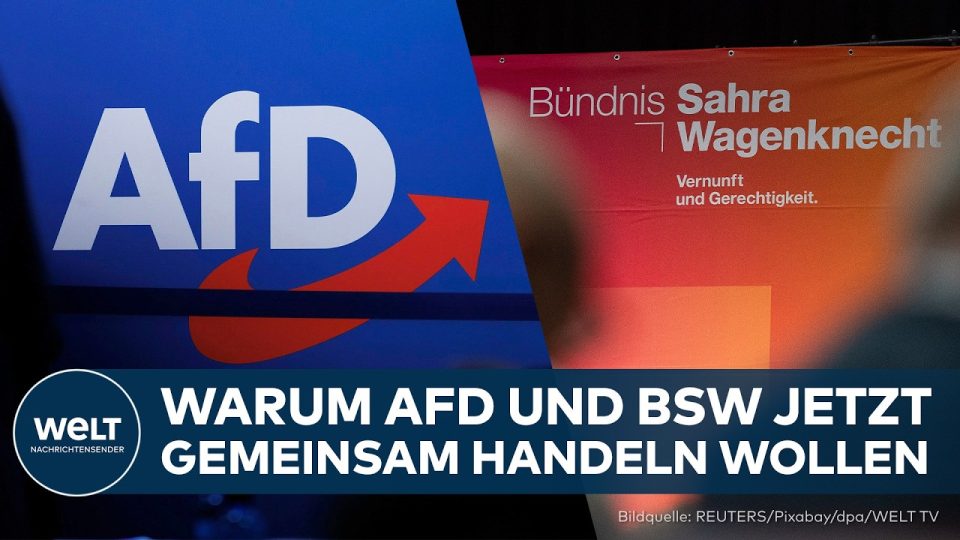 AfD BSW Sachsen-Anhalt – AfD und BSW Abgeordnete im Magdeburger Landtag stimmen gemeinsam über Antrag zu Russland-Sanktionen…