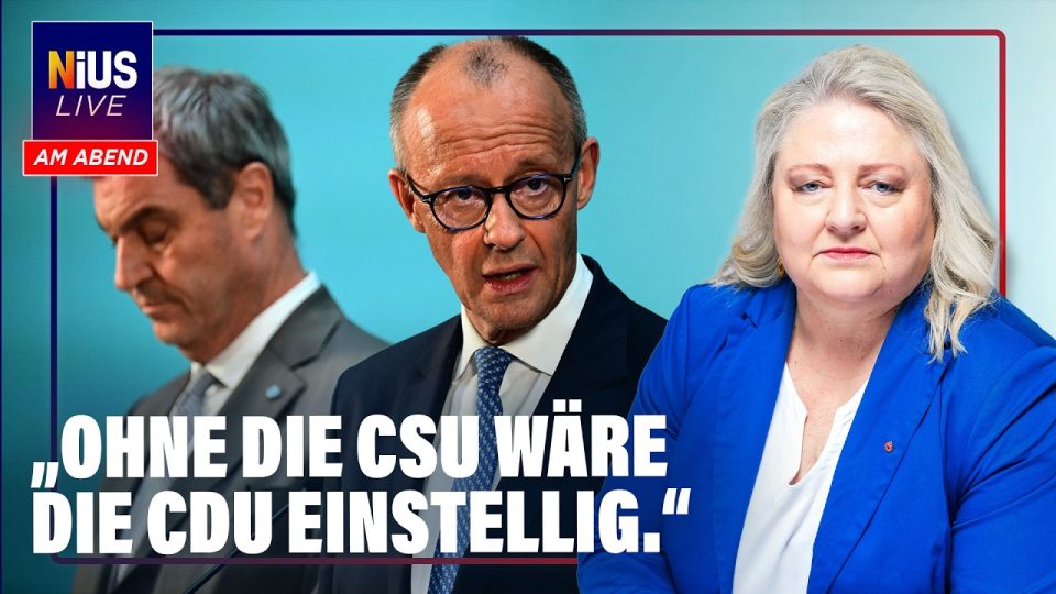 AfD Union Umfrage – Wahlplakate von AfD und CDU nebeneinander – Insa-Umfrage zeigt AfD Union Abstand von 12 Prozentpunkten
