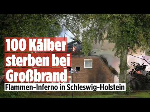 Scheunenbrand Schleswig-Holstein – Meterhohe Flammen bei Scheunenbrand in Schleswig-Holstein, im Hintergrund Löschfahrzeuge …