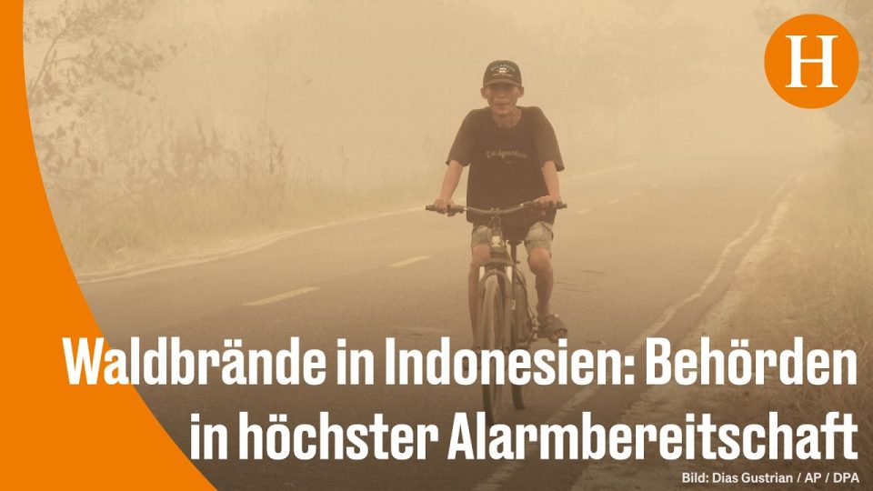 Waldbrände Indonesien – Dichter giftiger Rauch über dem Regenwald in Kalimantan durch Waldbrände in Indonesien