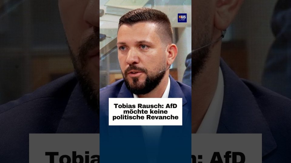 AfD politische Revanche – AfD-Politiker Tobias Rausch im Interview – AfD und politische Revanche im deutschen Parlament