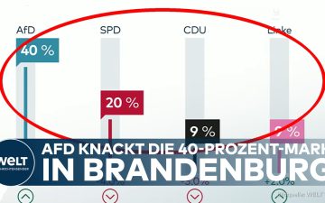 Wahlplakate der AfD in Brandenburg – AfD Brandenburg erreicht laut Umfrage 40 Prozent