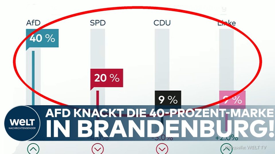 Wahlplakate der AfD in Brandenburg – AfD Brandenburg erreicht laut Umfrage 40 Prozent